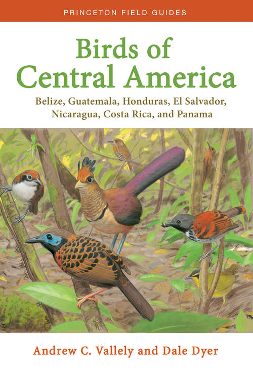 Book cover of Birds of Central America: Belize, Guatemala, Honduras, El Salvador, Nicaragua, Costa Rica, and Panama