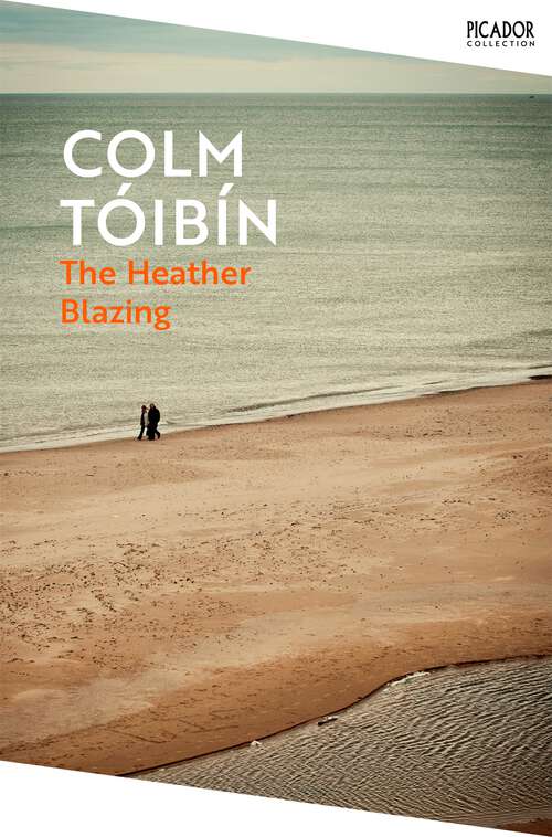Book cover of The Heather Blazing (Picador Collection #104)