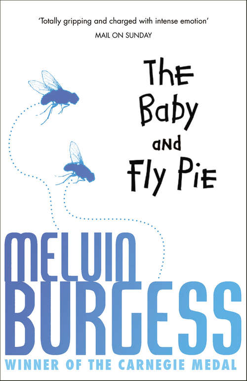 Book cover of The Baby and Fly Pie: Could A Kidnapped Baby Be The Key To A Better Life For Three Homeless Kids?