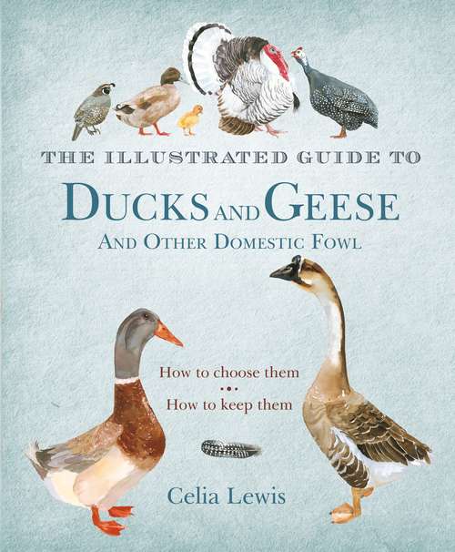 Book cover of An Illustrated Guide to Ducks and Geese and Other Domestic Fowl: How To Choose Them - How To Keep Them