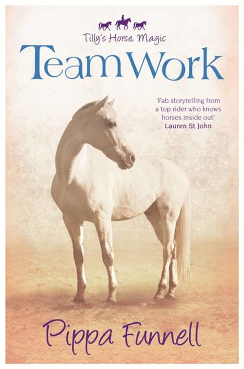 Book cover of Team Work: Book 3 (Tilly's Horse, Magic #3)