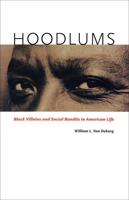 Book cover of Hoodlums: Black Villains and Social Bandits in American Life