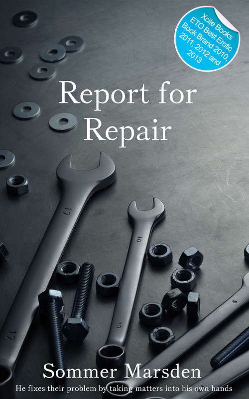 Book cover of Report for Repair: Erotic Gay Fiction