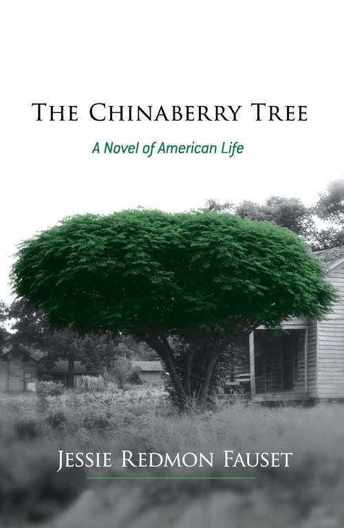 Book cover of The Chinaberry Tree: A Novel of American Life (African American Women Writers, 1910-1940 Ser.)