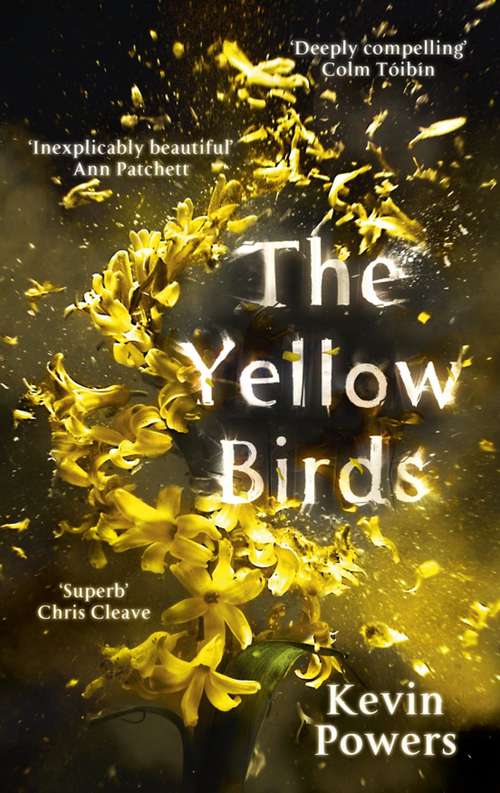 Book cover of The Yellow Birds