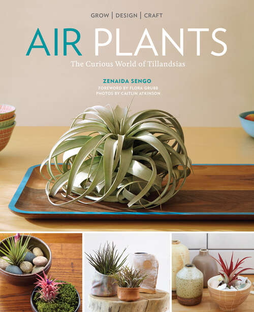 Book cover of Air Plants: The Curious World of Tillandsias