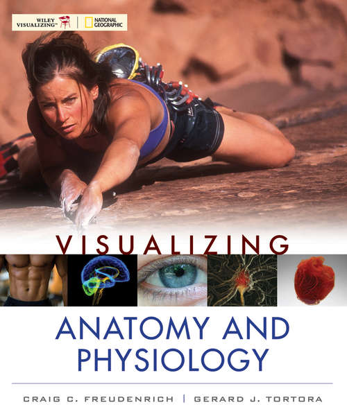 Book cover of Visualizing Anatomy and Physiology