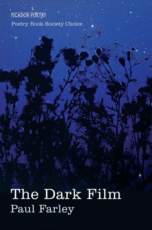 Book cover of The Dark Film