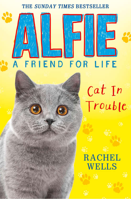 Book cover of Alfie Cat In Trouble (ePub edition)