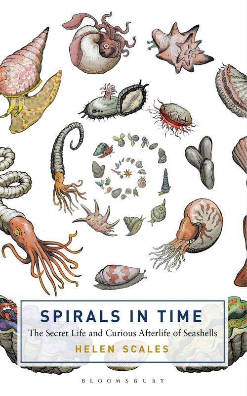 Book cover of Spirals in Time: The Secret Life and Curious Afterlife of Seashells