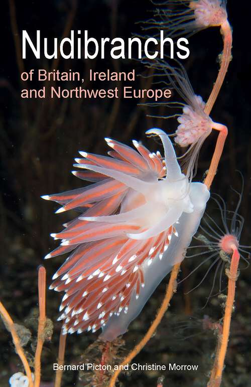 Book cover of Nudibranchs of Britain, Ireland and Northwest Europe: Second Edition