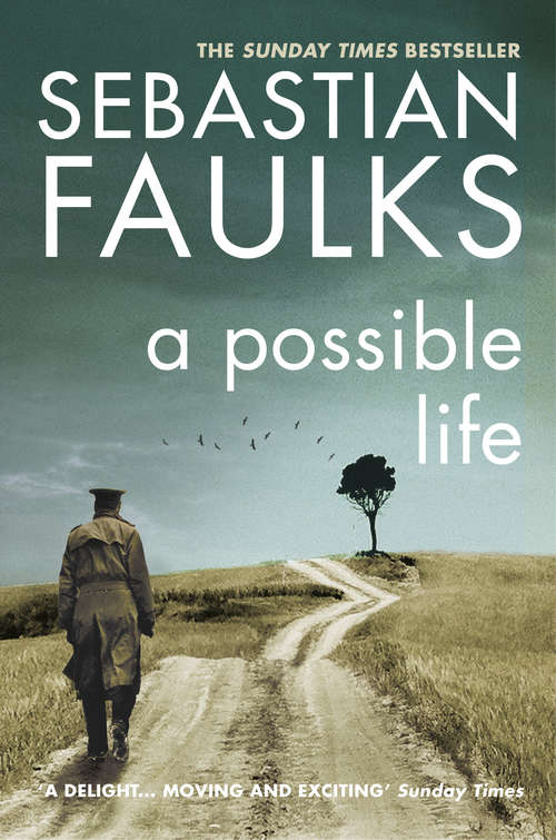 Book cover of A Possible Life: A Novel In Five Parts
