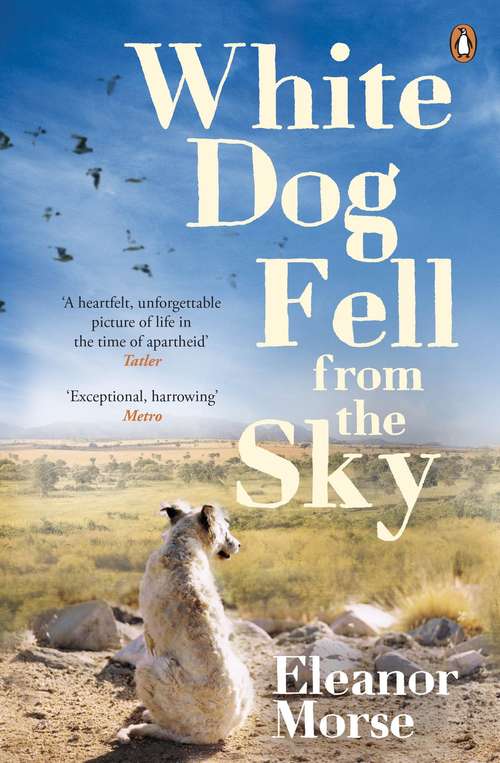 Book cover of White Dog Fell From the Sky: A Novel