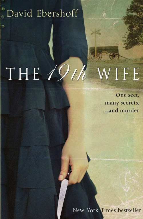 Book cover of The 19th Wife