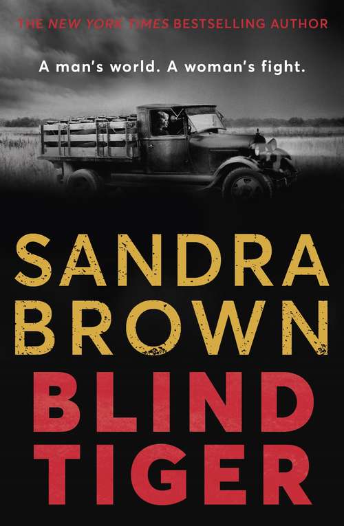 Book cover of Blind Tiger: a gripping historical novel full of twists and turns to keep you hooked in 2021