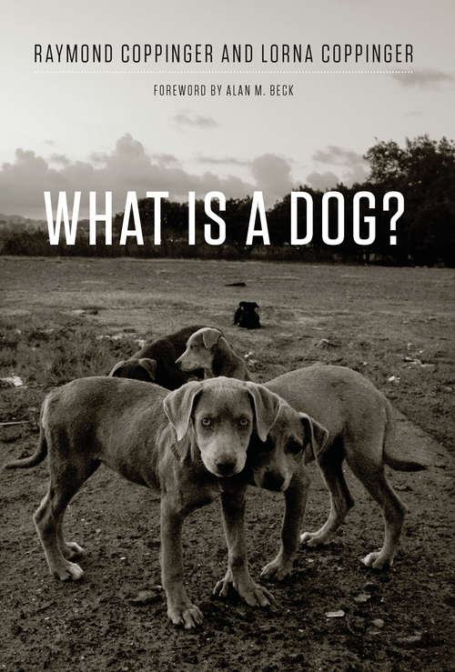 Book cover of What Is a Dog?: Observations From The Wild