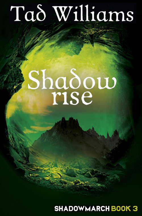 Book cover of Shadowrise: Shadowmarch Book 3 (Shadowmarch)