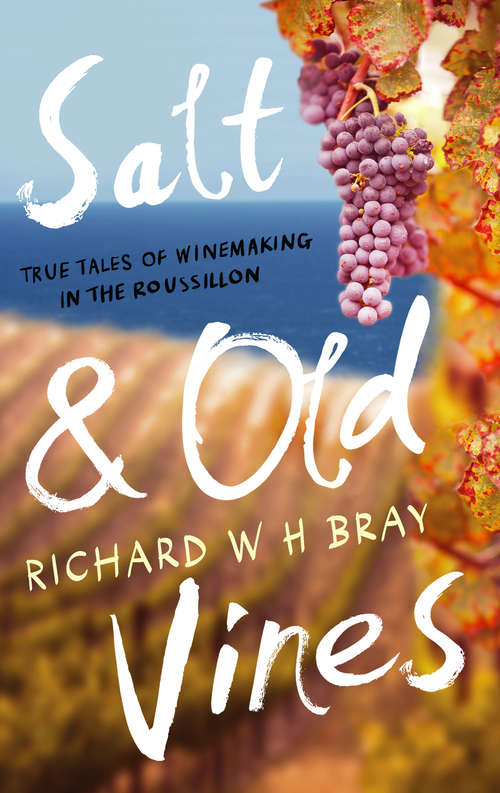 Book cover of Salt & Old Vines: True Tales of Winemaking in the Roussillon