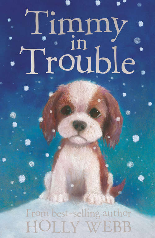 Book cover of Timmy in Trouble (Holly Webb Animal Stories #7)