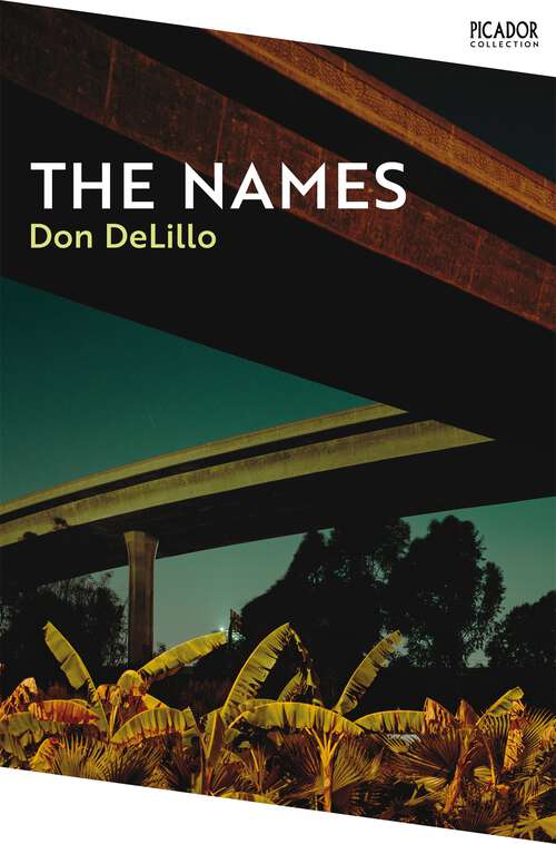 Book cover of The Names (2) (Vintage Contemporaries Ser.)