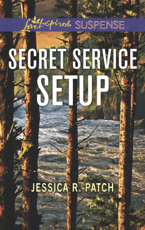 Book cover of Secret Service Setup: Night Stalker Treacherous Trails Secret Service Setup (ePub edition) (The Security Specialists #2)