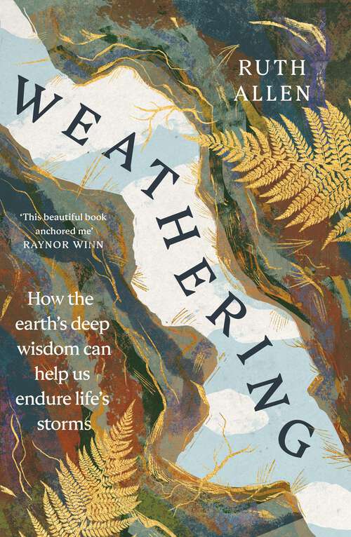 Book cover of Weathering