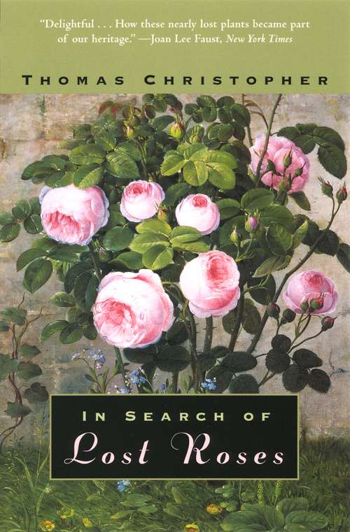 Book cover of In Search of Lost Roses (Bloomsbury Gardening Classics Ser.)