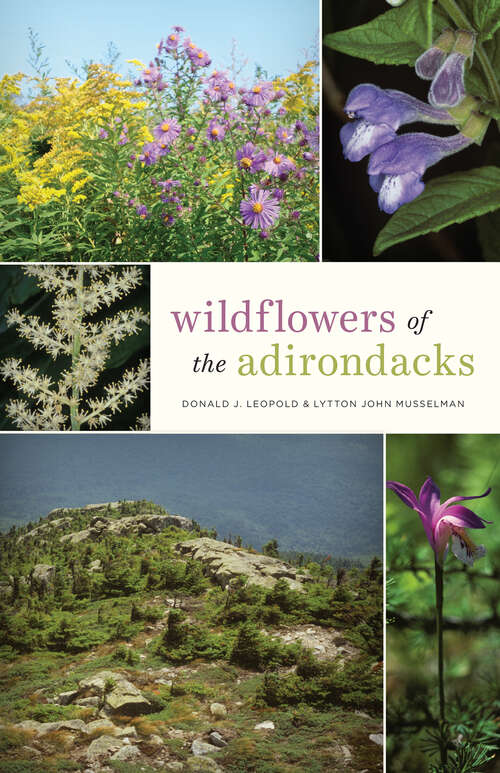 Book cover of Wildflowers of the Adirondacks