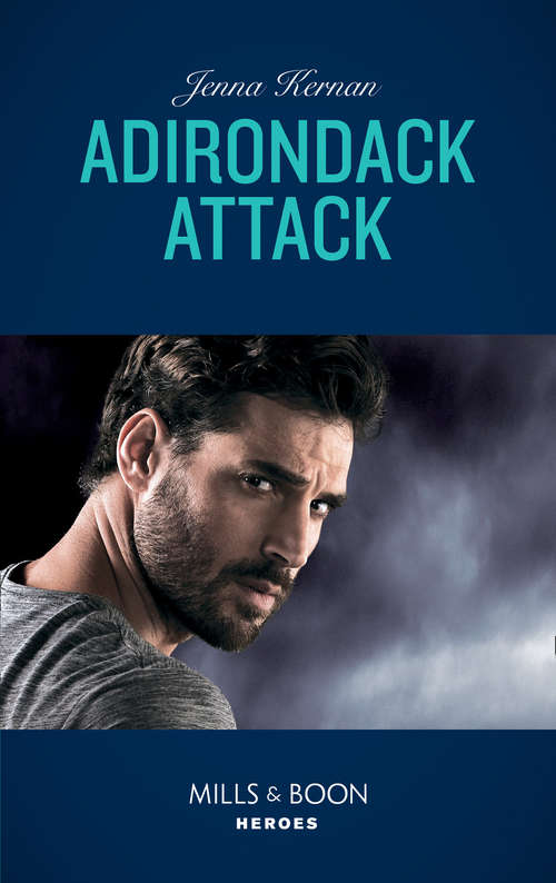 Book cover of Adirondack Attack (ePub edition) (Protectors at Heart #2)