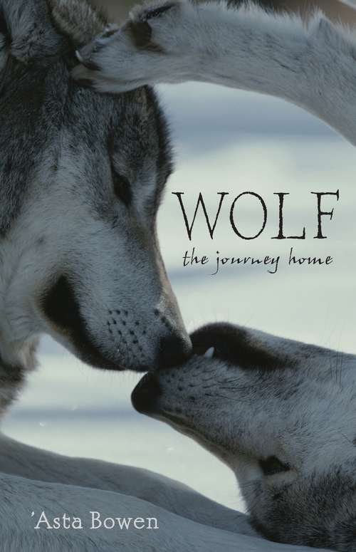 Book cover of Wolf: The Journey Home