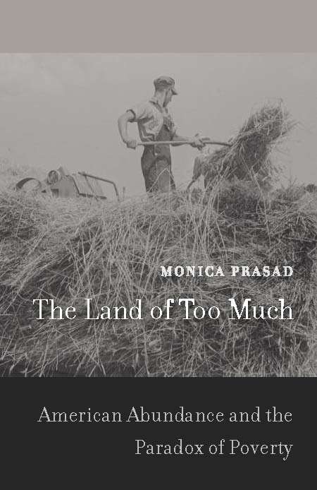 Book cover of The Land of Too Much: American Abundance And The Paradox Of Poverty