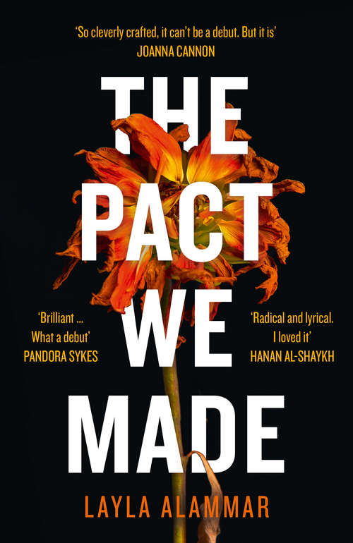Book cover of The Pact We Made (ePub edition)