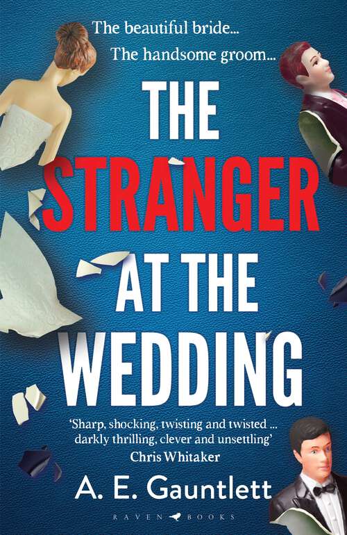 Book cover of The Stranger at the Wedding