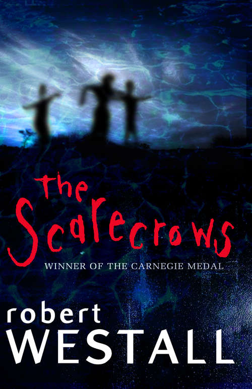 Book cover of Scarecrows
