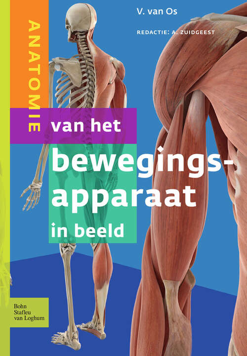 Book cover of Anatomie van het bewegingsapparaat in beeld (2012)