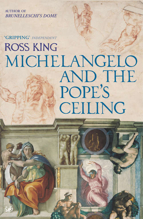 Book cover of Michelangelo And The Pope's Ceiling