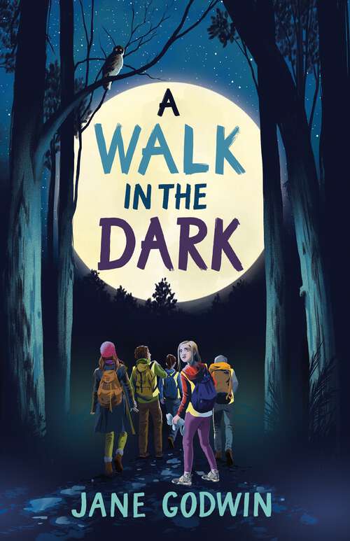 Book cover of A Walk in the Dark