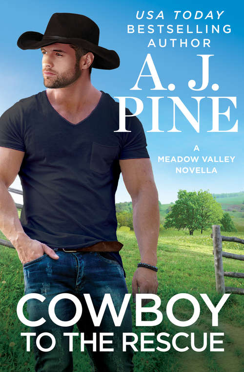 Book cover of Cowboy to the Rescue (Meadow Valley)
