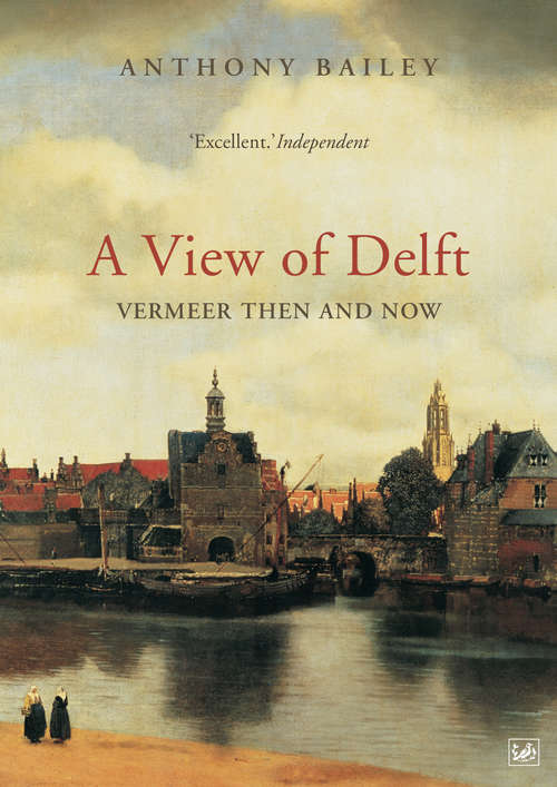 Book cover of A View Of Delft: Vermeer Then And Now