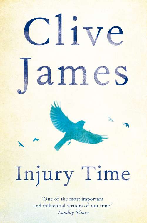 Book cover of Injury Time