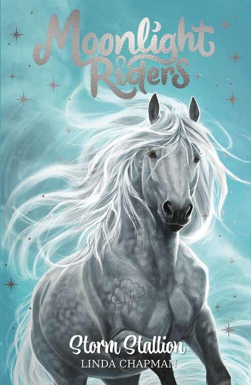 Book cover of Storm Stallion: Book 2 (Moonlight Riders #2)