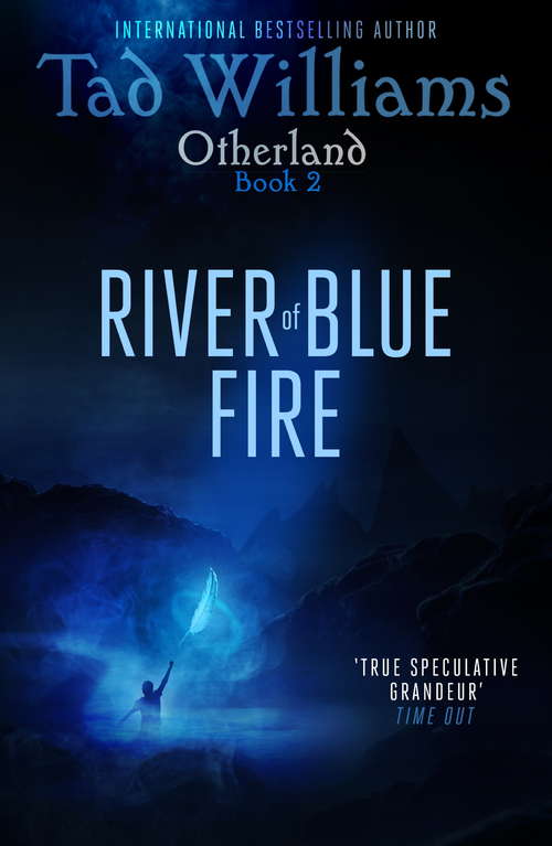 Book cover of River of Blue Fire: Otherland Book 2 (Otherland)