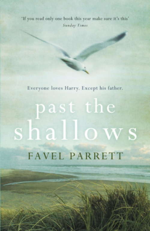 Book cover of Past the Shallows: A Novel