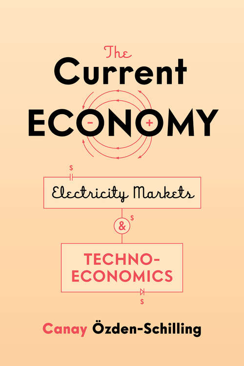 Book cover of The Current Economy: Electricity Markets and Techno-Economics