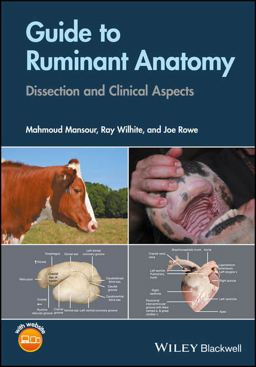 Book cover of Guide to Ruminant Anatomy: Dissection and Clinical Aspects