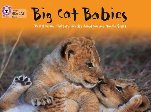 Book cover of Big Cat Babies: Band 05/Green (Collins Big Cat) (PDF)