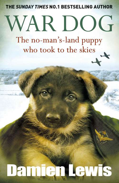 Book cover of War Dog: The no-man's-land puppy who took to the skies