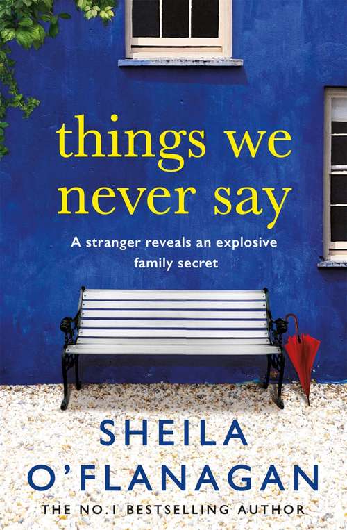 Book cover of Things We Never Say: Family secrets, love and lies – this gripping bestseller will keep you guessing …