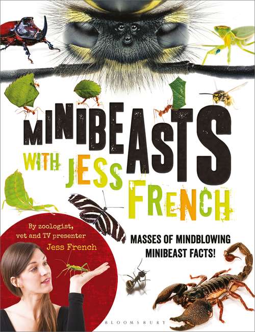 Book cover of Minibeasts with Jess French: Masses of mindblowing minibeast facts!
