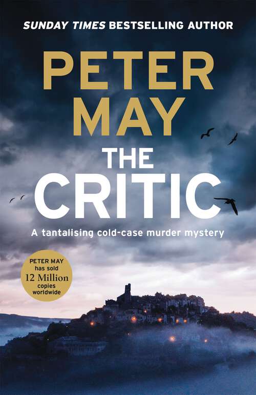 Book cover of The Critic: A tantalising cold-case murder mystery (Enzo 2) (The Enzo Files #2)